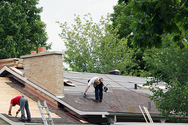 Best Roof Moss and Algae Removal  in Bowdon, GA