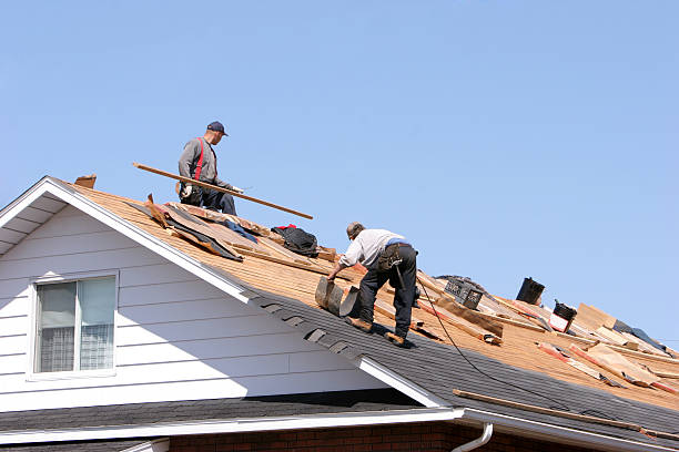 Best Gutter Installation and Repair  in Bowdon, GA